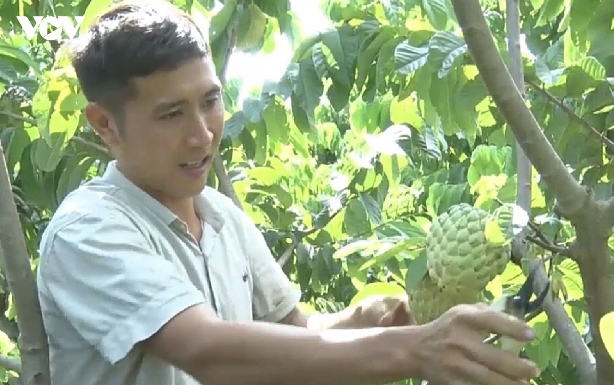 Dong bao cac dan toc tay bac - sang tao va lam giau tu loi the rieng hinh anh 1