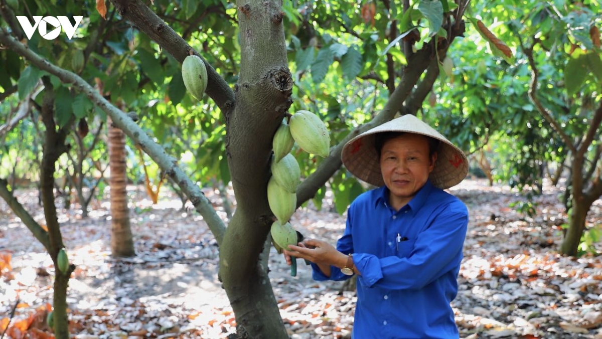 Dong nai dat nhieu thanh tuu trong xay dung nong thon moi hinh anh 3