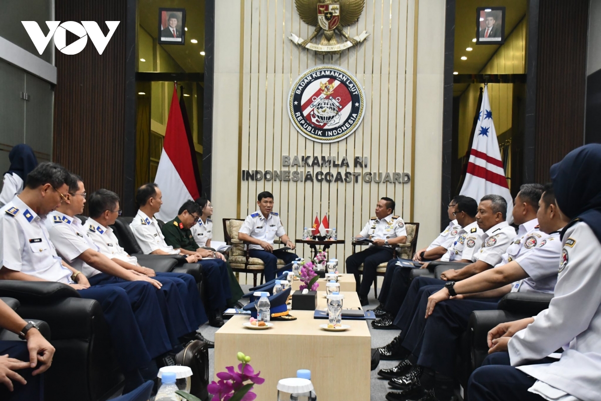 tang cuong hop tac canh sat bien viet nam - indonesia hinh anh 1