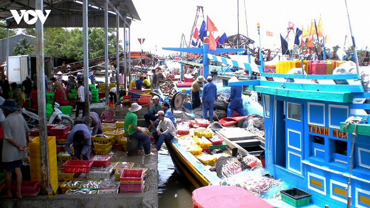vinh long ra quan cao diem xu ly tau ca 3 khong , phong chong iuu hinh anh 2