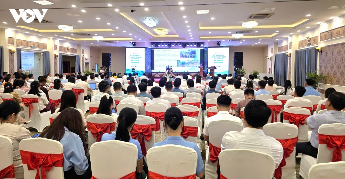 25 tan gao tu dien dan ket noi chuoi gia tri nong san giup nguoi dan vung lu nghe an hinh anh 2