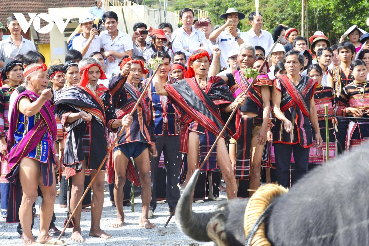 Lễ mừng chiến thắng của đồng bào Bahnar ở Tây Nguyên