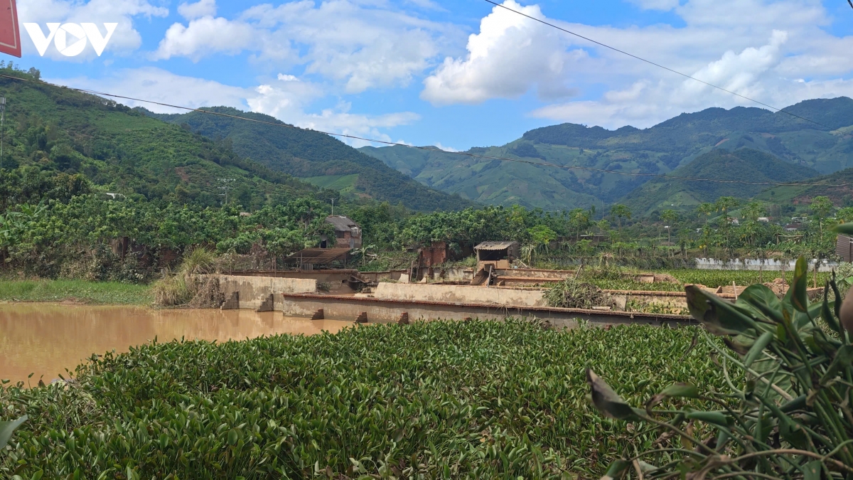 trang tay sau lu du hinh anh 1