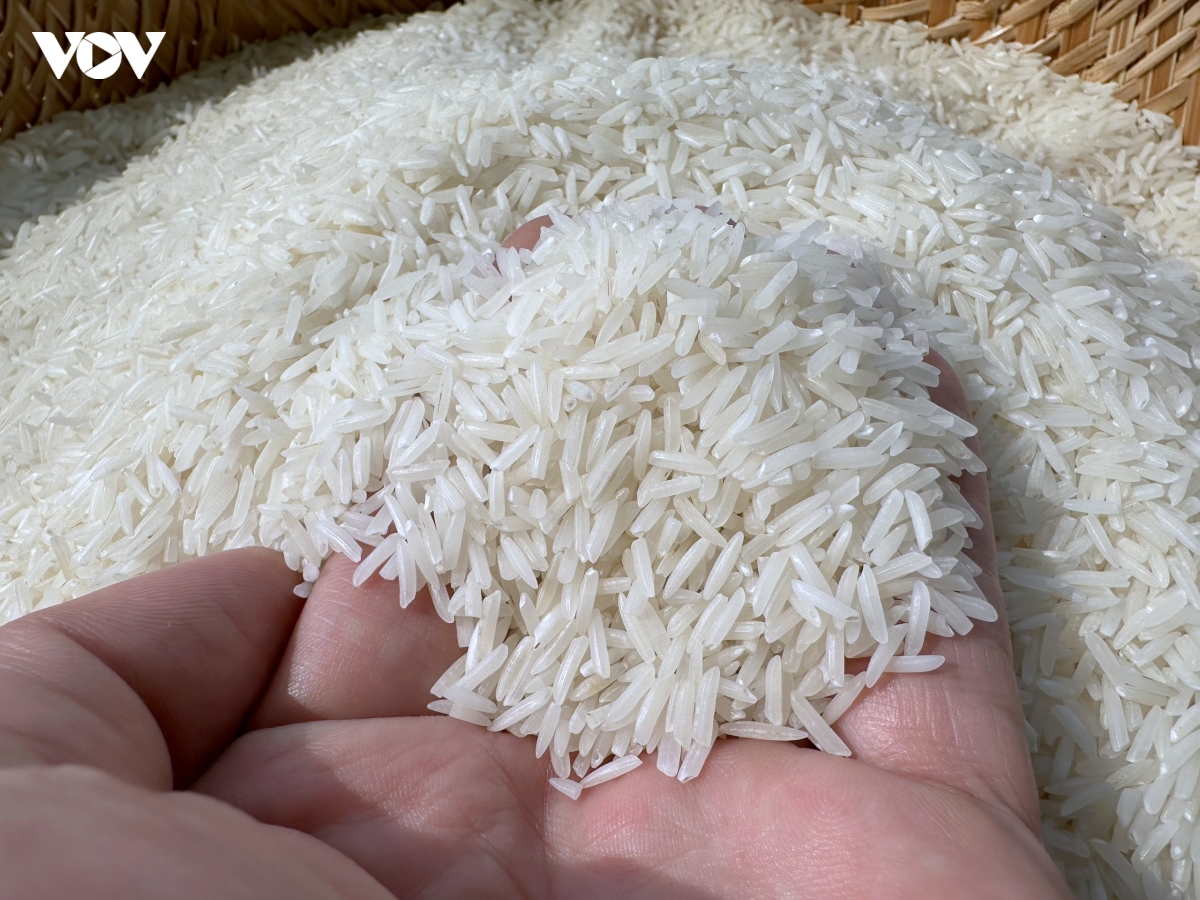 nong nghiep tuan hoan gia tang gia tri cho nganh hang lua gao hinh anh 3