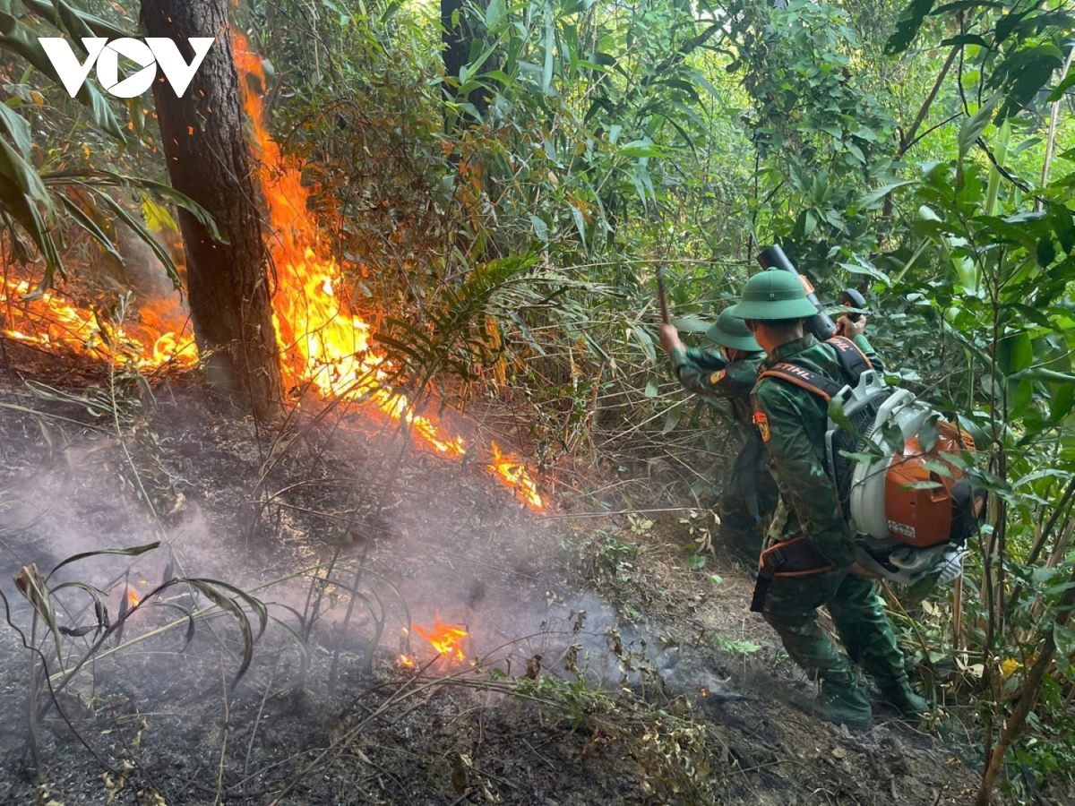 Kịp thời khống chế vụ cháy rừng phòng hộ tại tỉnh Quảng Trị