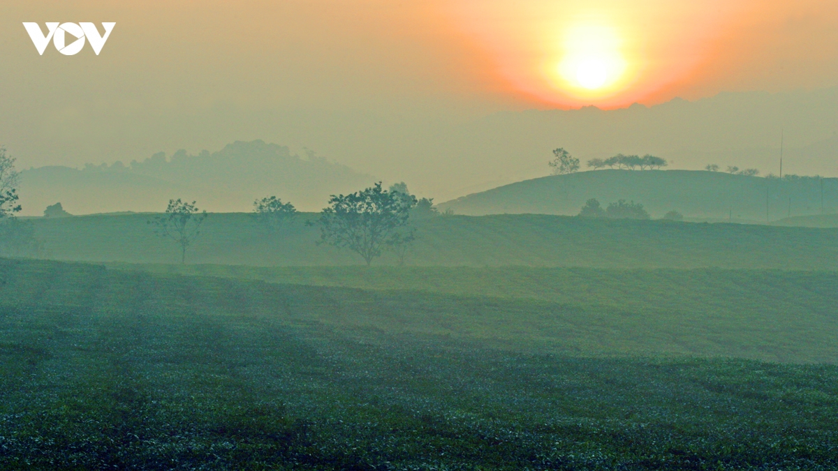 kham pha buc tranh cuoc song binh di, nen tho cua doi che moc chau hinh anh 3