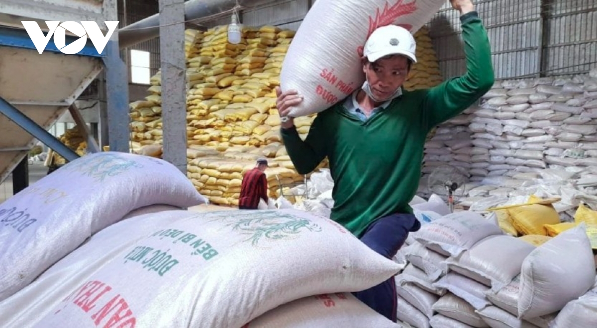 Vietnam surpasses Thailand to become world's second largest rice exporter
