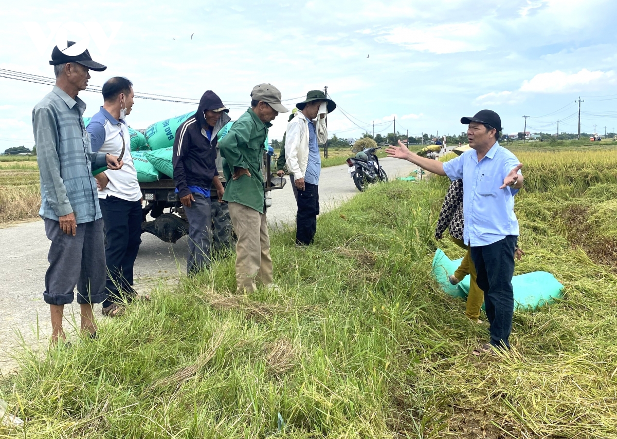 hue cam bien tu chieu 23 8 ung pho voi bao so 5 hinh anh 1