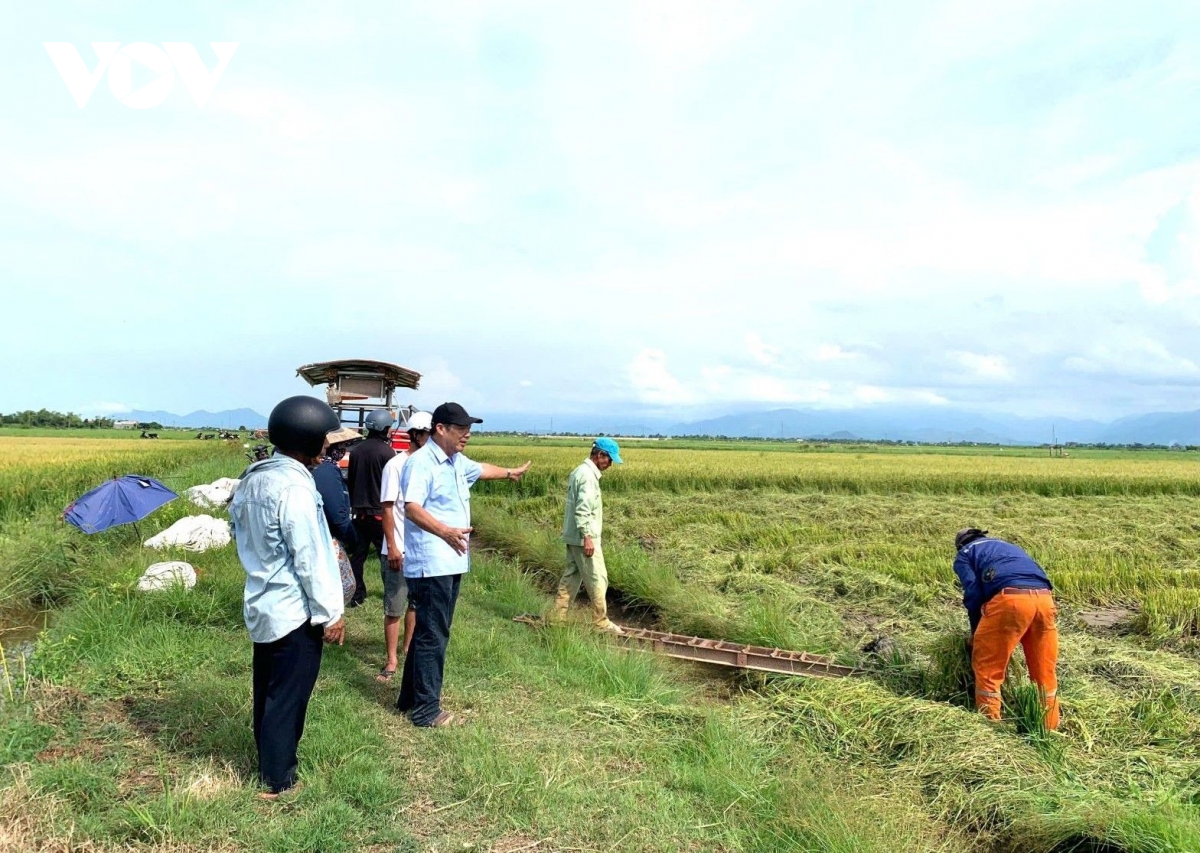 thanh pho hue dieu chinh thoi gian tuu truong tu ngay 25 8 sang ngay 28 8 hinh anh 4