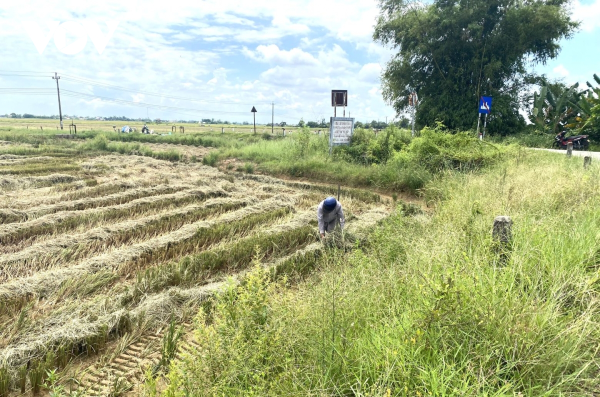 hue cam bien tu chieu 23 8 ung pho voi bao so 5 hinh anh 2