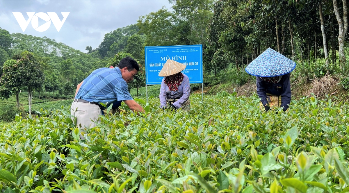 tu che ban ... den san pham ocop 4 sao hinh anh 2