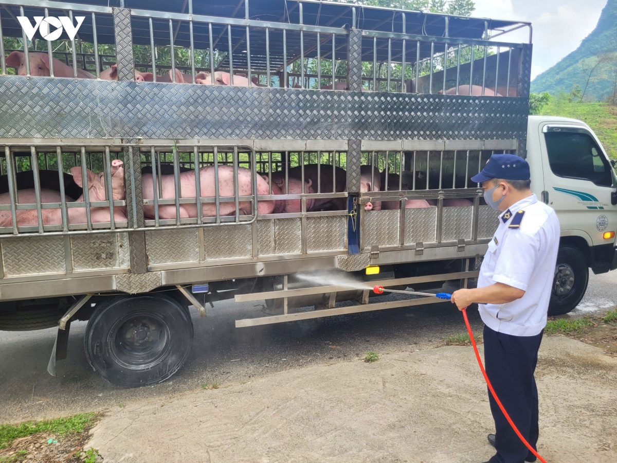 thai nguyen tung buoc duoc khong che dich ta lon chau phi hinh anh 1