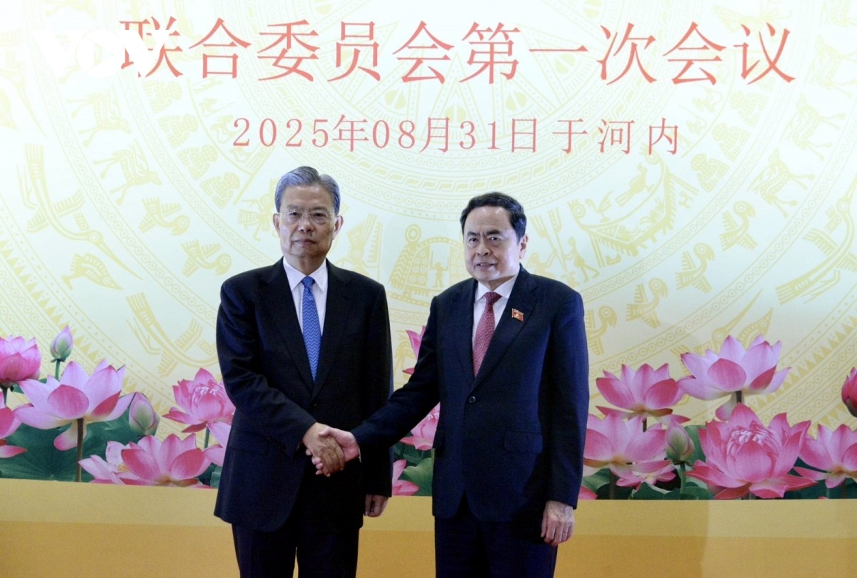 thuc day de hop tac nghi vien tro thanh tru cot trong quan he viet nam-trung quoc hinh anh 3