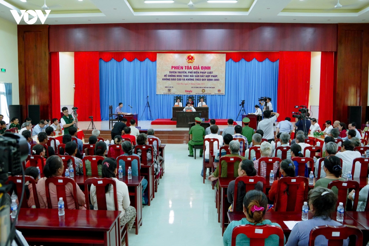 can tho to chuc phien toa gia dinh tuyen truyen ve chong khai thac iuu hinh anh 1