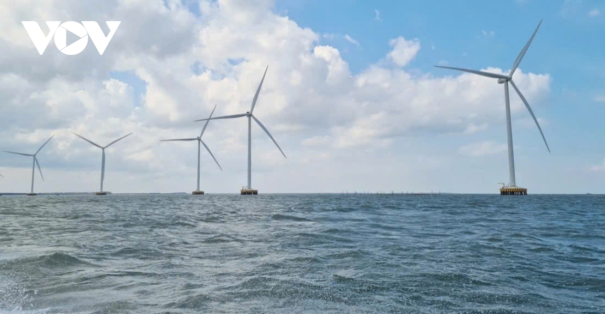 vinh long de nghi doi phuong an truyen dan dien sau su co do 13 tru dien gio hinh anh 2