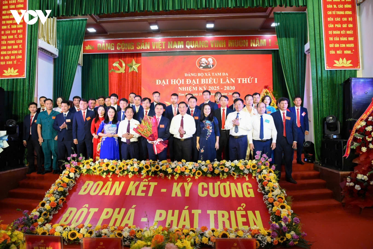 Dai hoi Dang bo xa tam Da, tinh bac ninh hinh anh 2