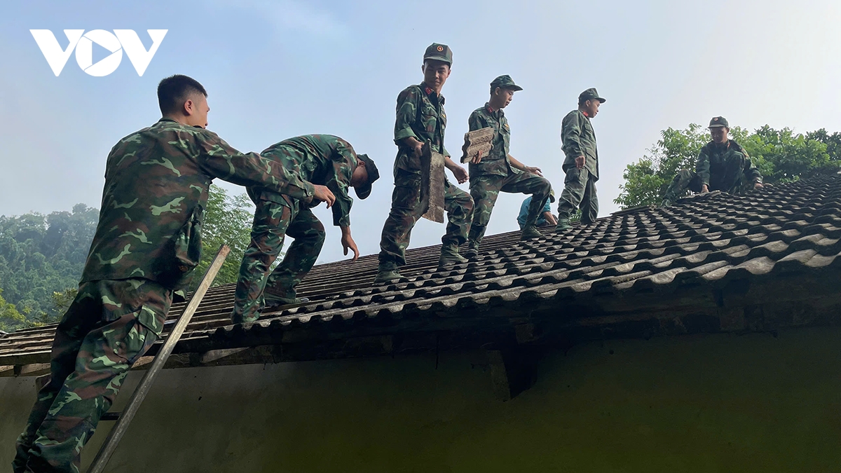 thai nguyen ve dich som trong chuong trinh xoa nha tam, dot nat hinh anh 1