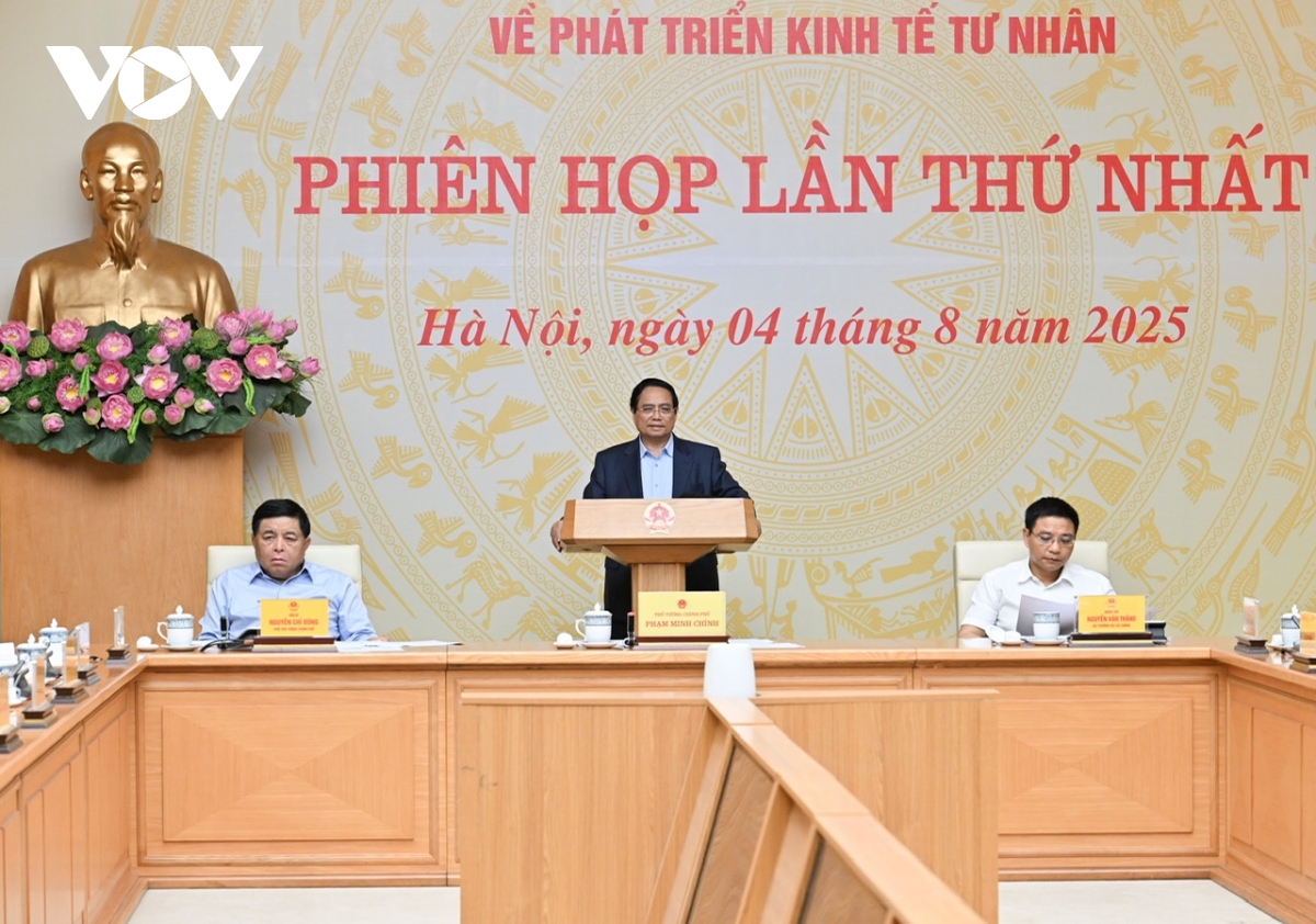 thu tuong Dua doanh nghiep tu nhan tro thanh dong luc quan trong nhat de phat trien hinh anh 1