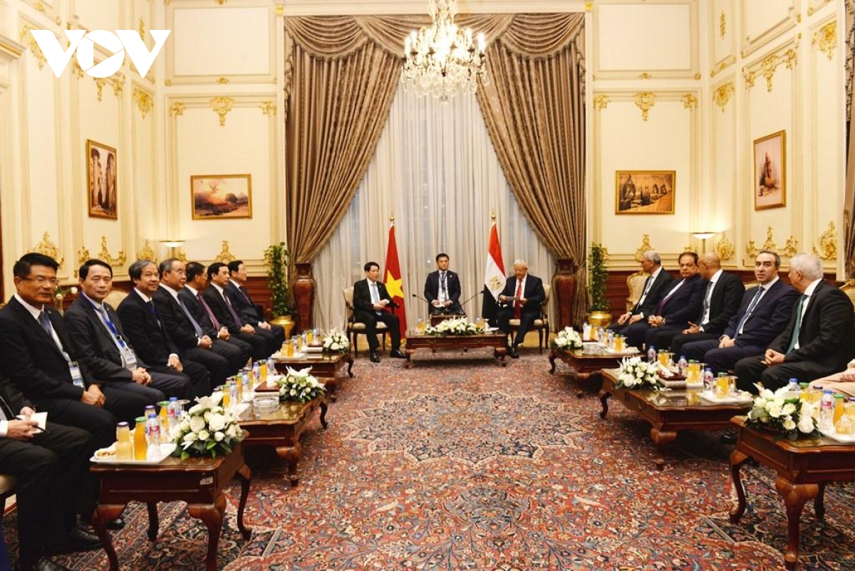 chu tich nuoc luong cuong hoi kien chu tich ha vien ai cap hanafy el gebaly hinh anh 2