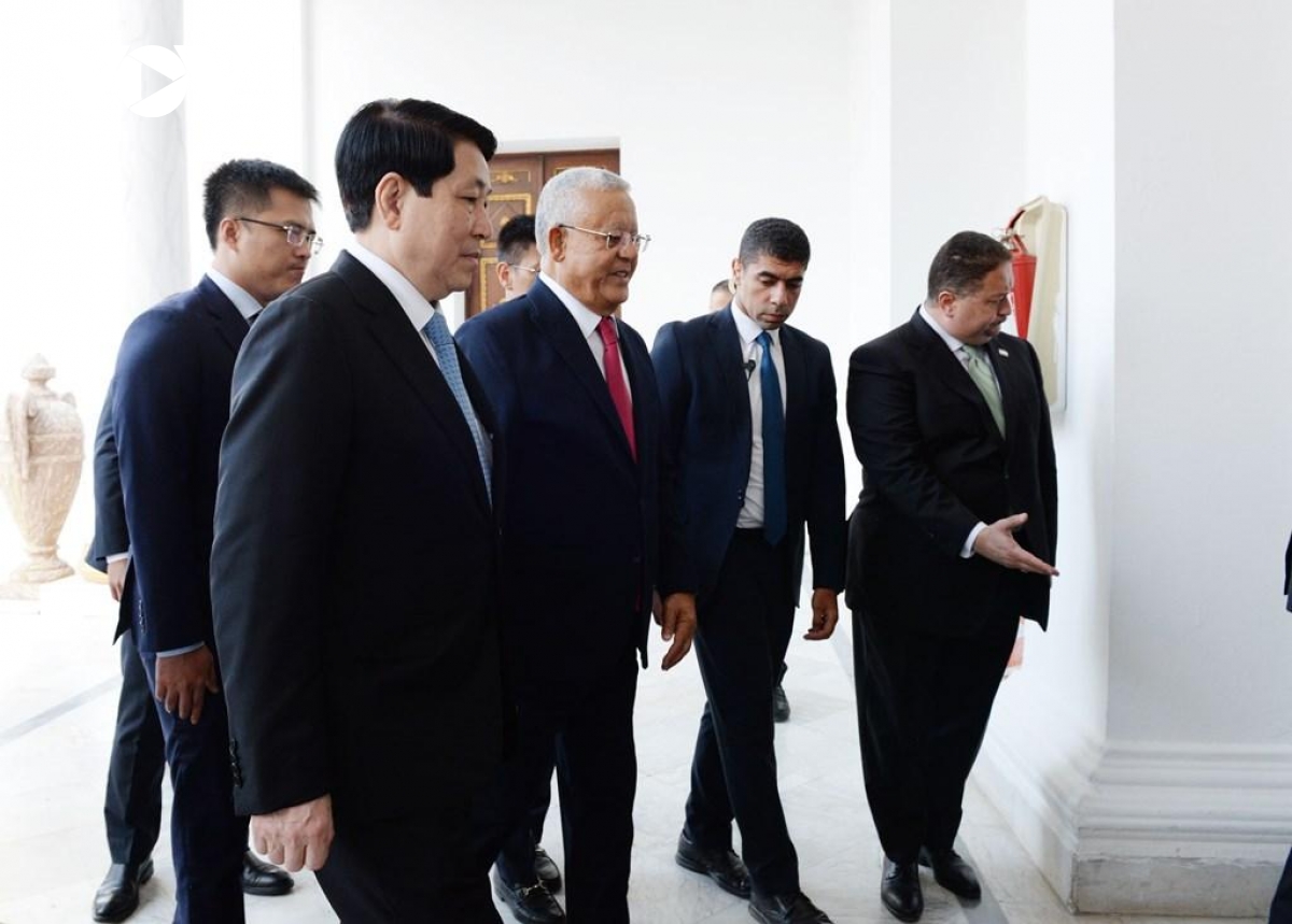 chu tich nuoc luong cuong hoi kien chu tich ha vien ai cap hanafy el gebaly hinh anh 3