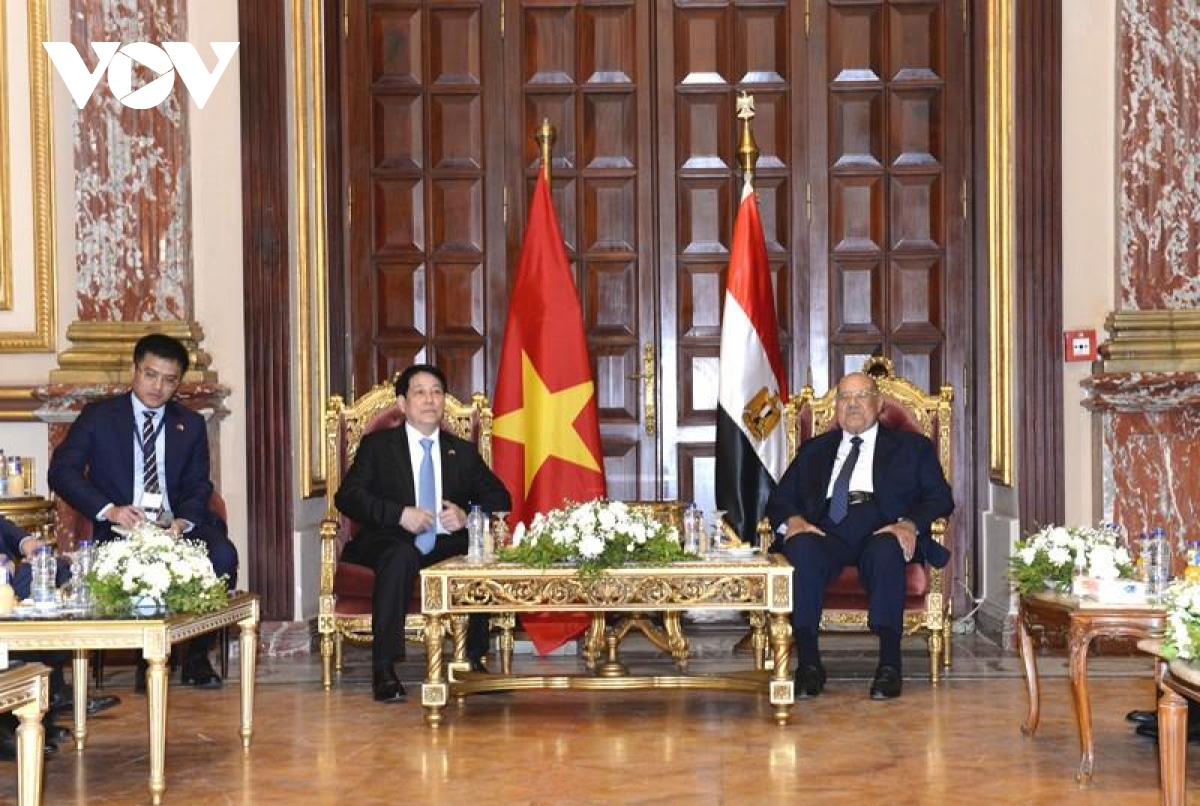 chu tich nuoc luong cuong hoi kien chu tich thuong vien ai cap hinh anh 2