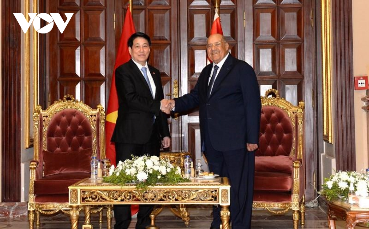 chu tich nuoc luong cuong hoi kien chu tich thuong vien ai cap hinh anh 1