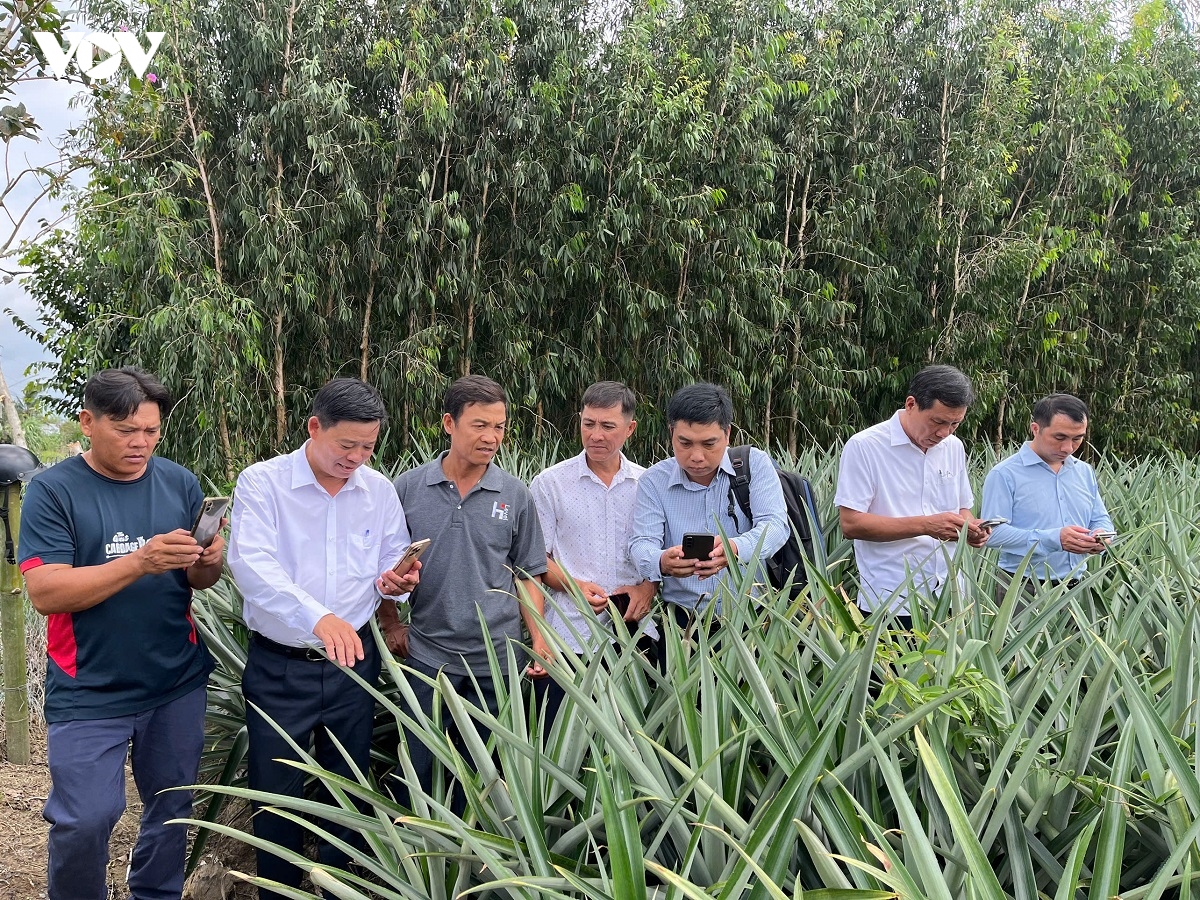 nong dan khmer chuyen doi so dua nong nghiep len tam cao moi hinh anh 4