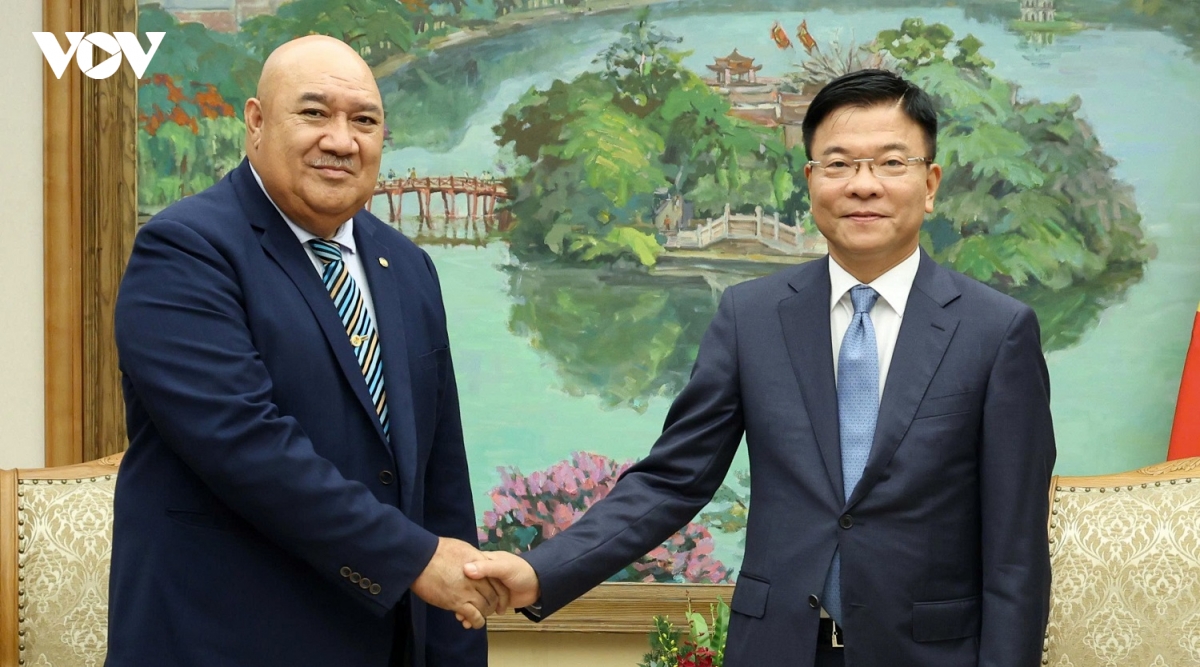 pho thu tuong le thanh long tiep giam doc who khu vuc tay thai binh duong hinh anh 1