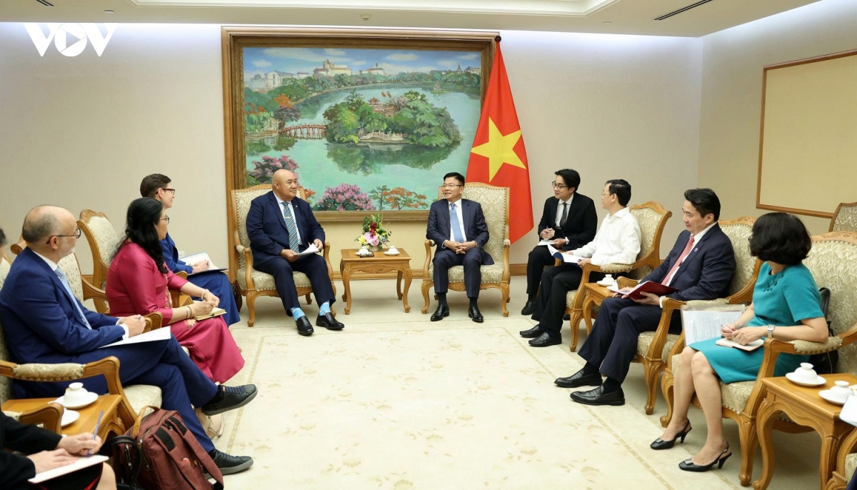 pho thu tuong le thanh long tiep giam doc who khu vuc tay thai binh duong hinh anh 2