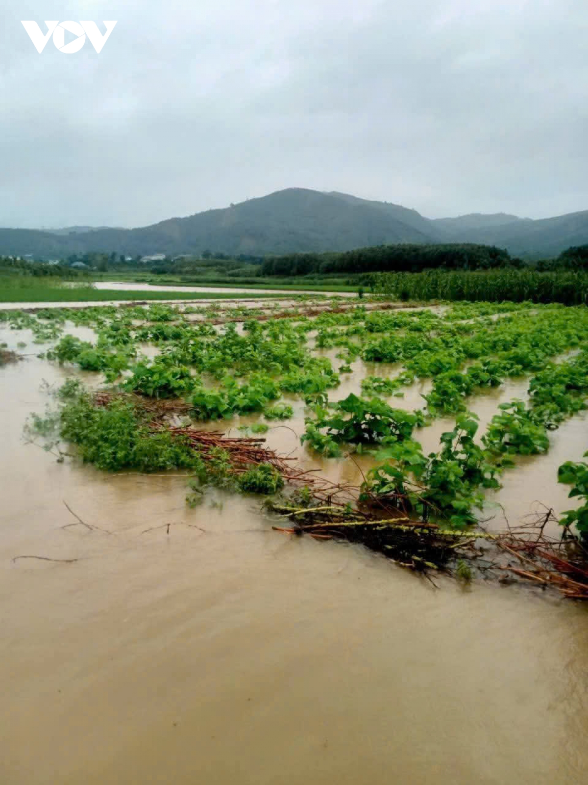 Khi nào mưa lớn sẽ giảm ở khu vực Bắc Bộ?