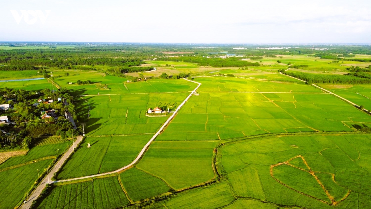 khat vong xanh tren dat quang tri hinh anh 4