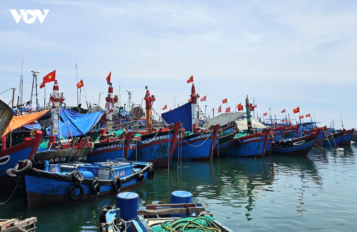 ngu dan ly son vung nghe bien hinh anh 2
