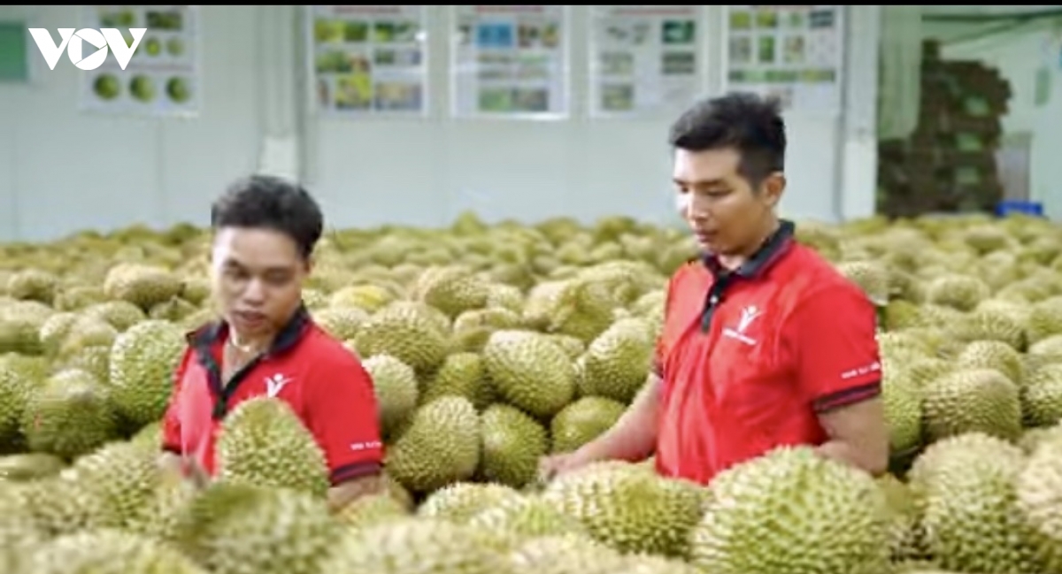 doanh nghiep tim kiem nhan luc va giai phap kinh te xanh hinh anh 4