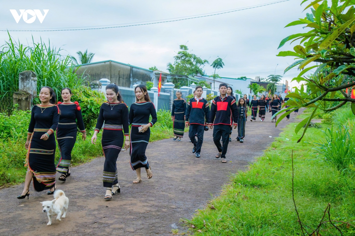 buon lang Dak lak ron rang tet Doc lap, chung niem tu hao cung ca nuoc hinh anh 1