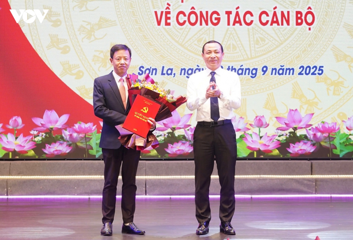 son la co tan tong bien tap bao va phat thanh, truyen hinh hinh anh 1
