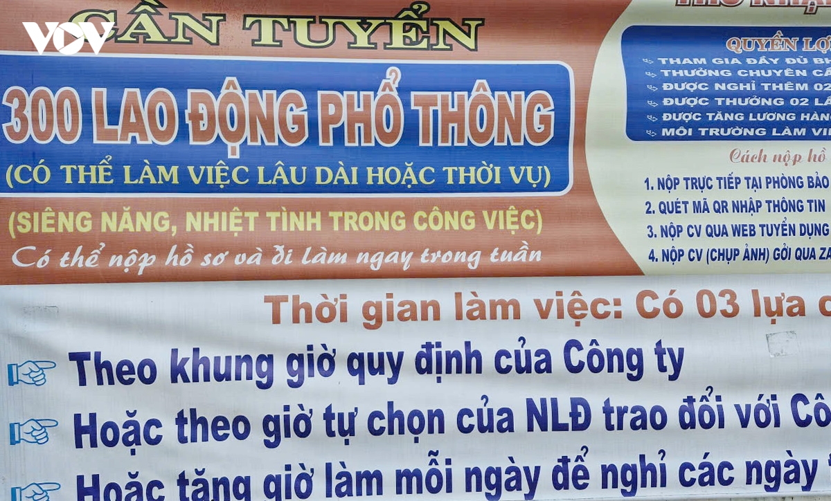 thi truong lao dong nhon nhip nhung thang cuoi nam hinh anh 2