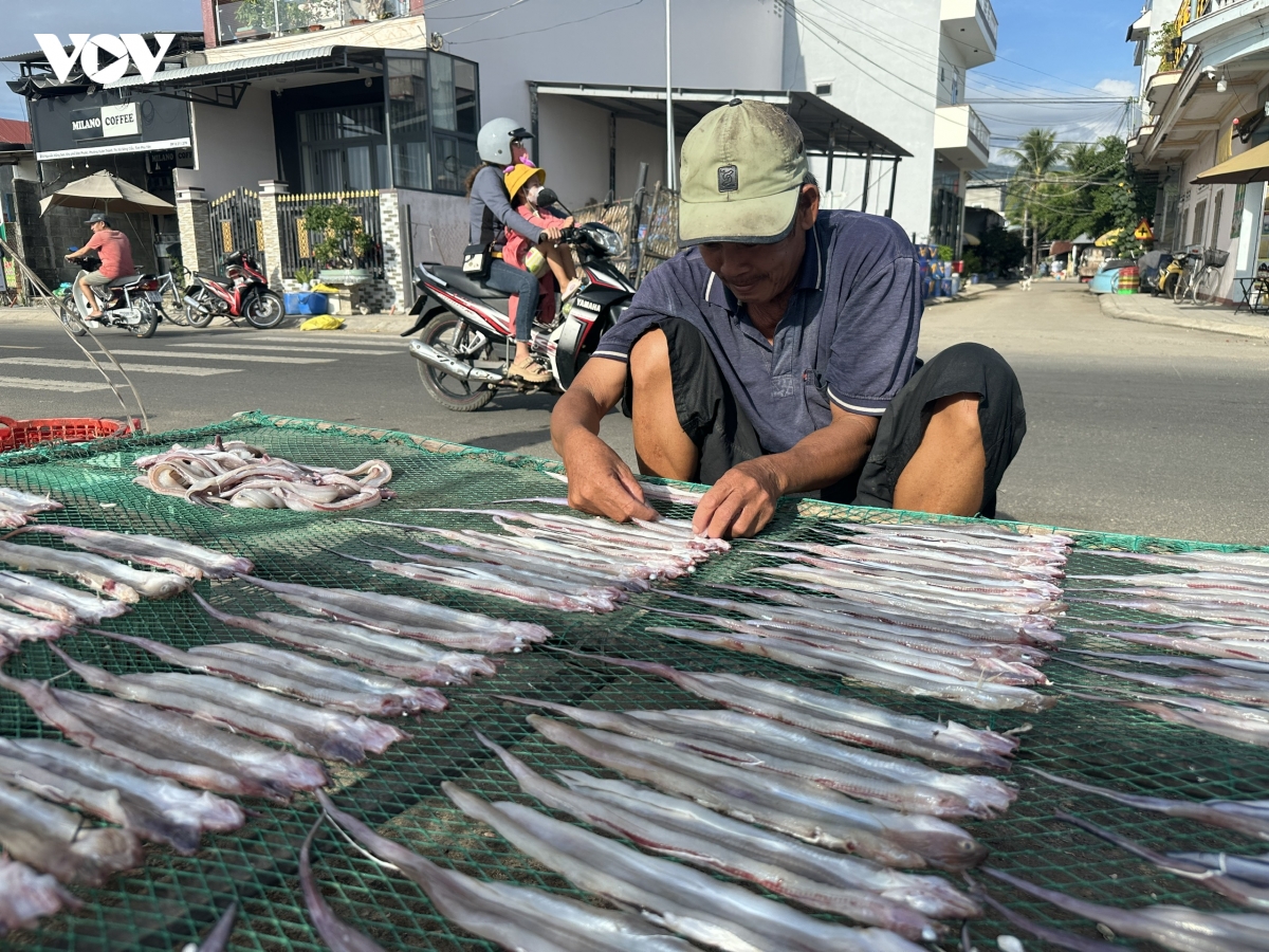 nghe phoi ca kho cua nguoi dan ven cang dan phuoc hinh anh 3