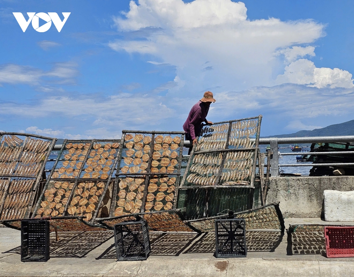 Nghề phơi cá khô của người dân ven cảng Dân Phước