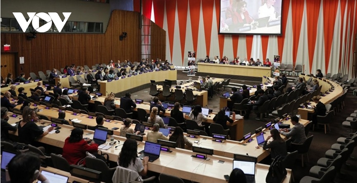vietnam reaffirms commitment to promoting gender equality at un women executive board picture 1 vietnam reaffirms commitment to promoting gender equality at un women executive board picture 1