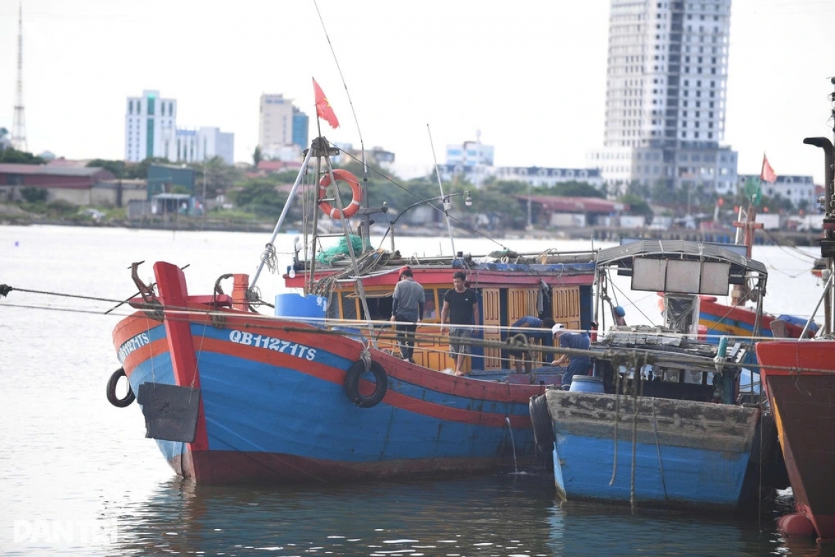 bo truong bo nn mt yeu cau khan cap trien khai phuong an ung pho bao so 10 hinh anh 2