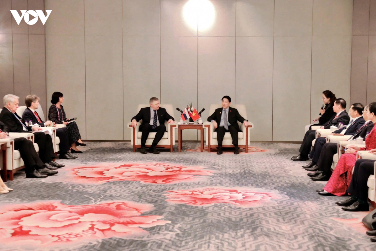 chu tich nuoc luong cuong tiep thu tuong slovakia robert fico hinh anh 2