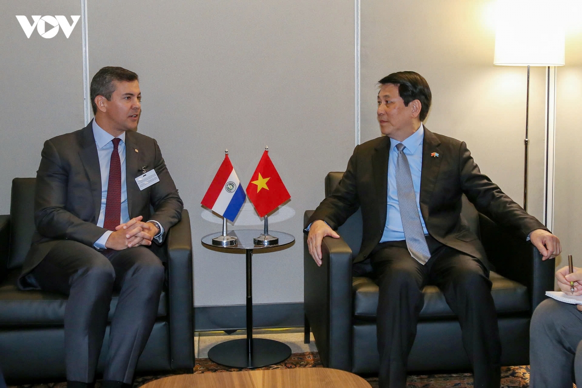chu tich nuoc luong cuong gap tong thong paraguay santiago pe a palacios hinh anh 1