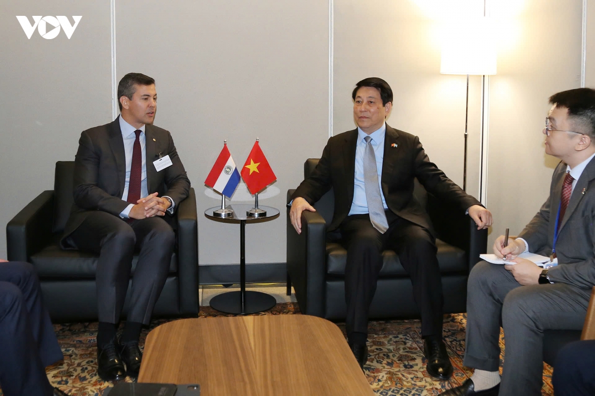 chu tich nuoc luong cuong gap tong thong paraguay santiago pe a palacios hinh anh 2