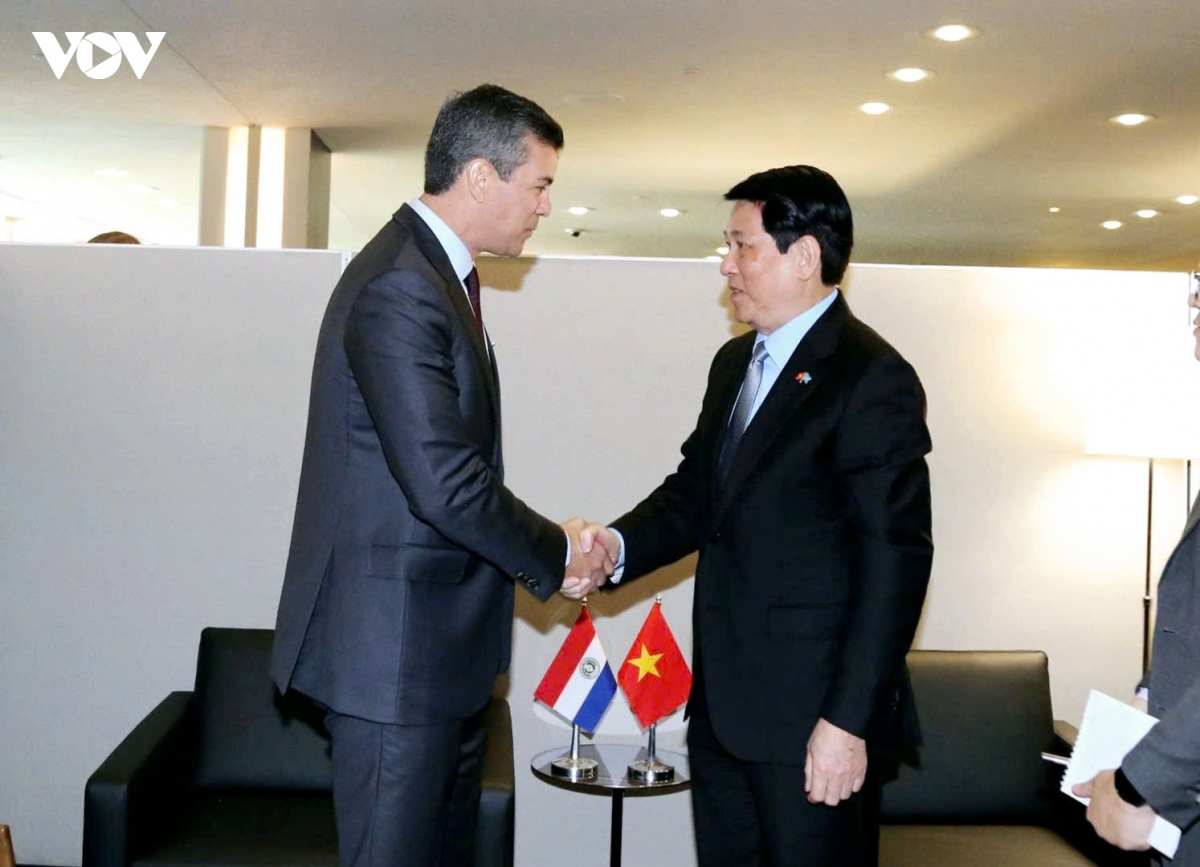 chu tich nuoc luong cuong gap tong thong paraguay santiago pe a palacios hinh anh 3