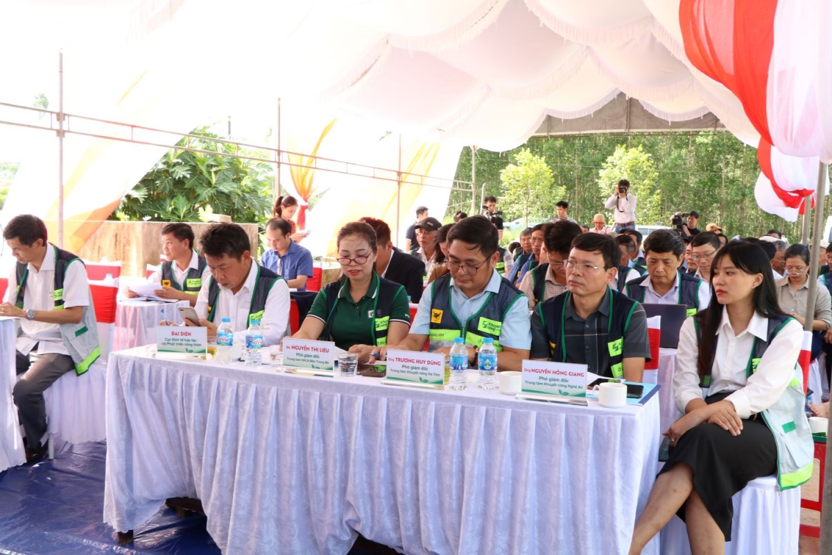 khuyen nong cong dong chung tay phat trien vung nguyen lieu go lon ben vung hinh anh 3