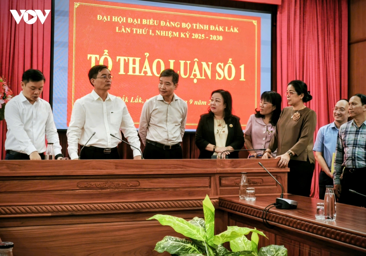 Dak lak san sang cho Dai hoi Dang bo tinh lan thu i hinh anh 5