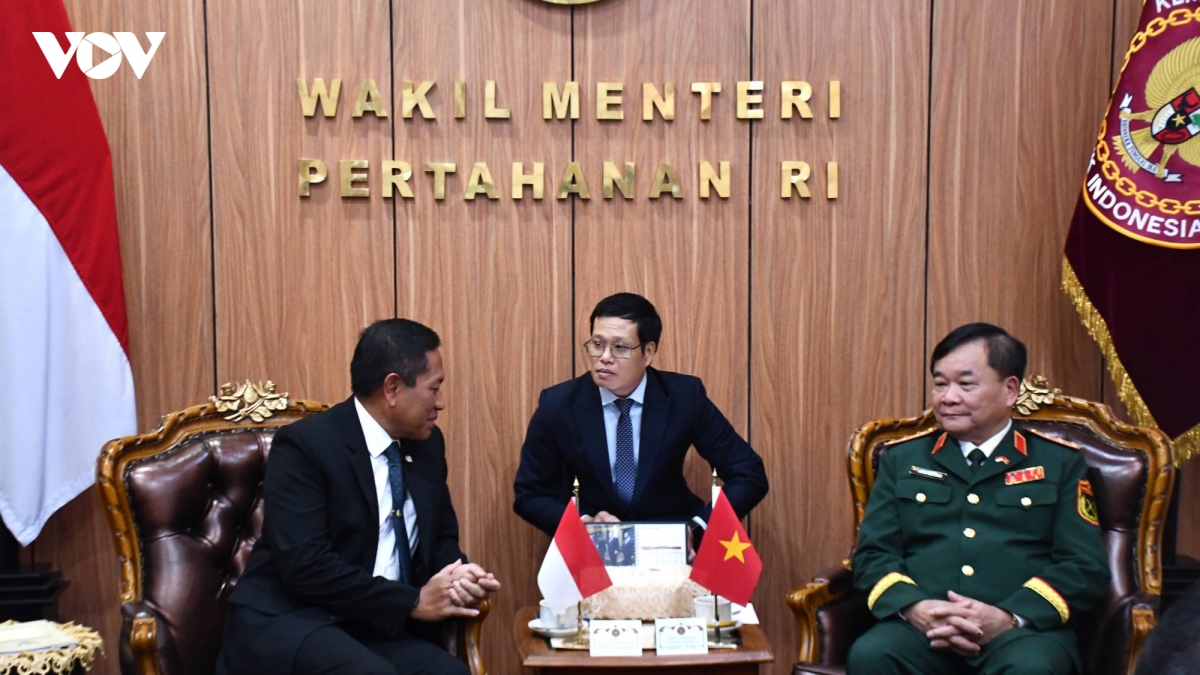 Doi thoai chinh sach quoc phong viet nam-indonesia Dua hop tac di vao thuc chat hinh anh 6