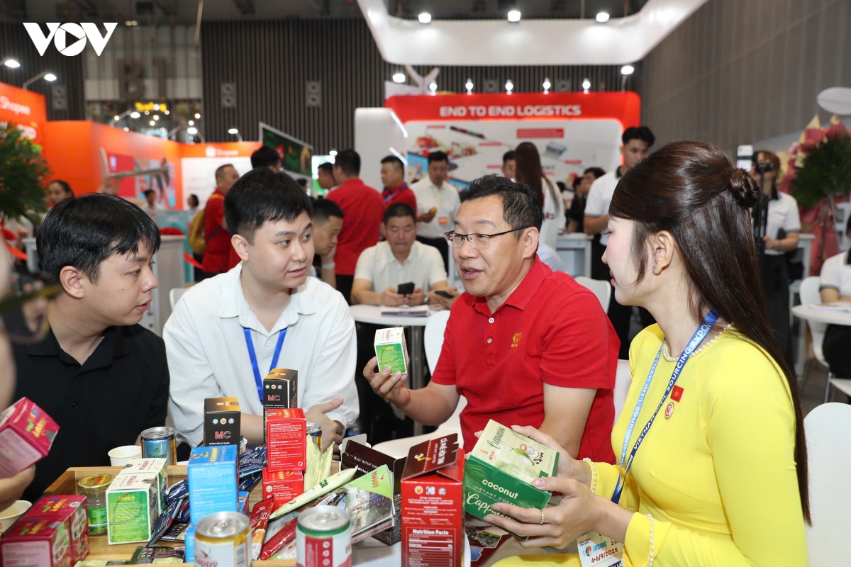 hoi cho du lich quoc te tp.hcm 2025 hon ca quang ba, xuc tien du lich hinh anh 6