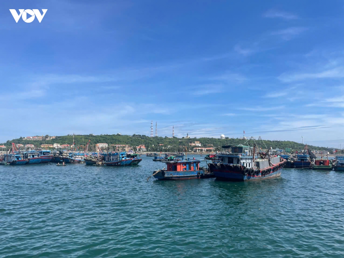 hai phong dung nhieu hoat dong khu vuc bien dao, tap trung ung pho bao so 10 hinh anh 1