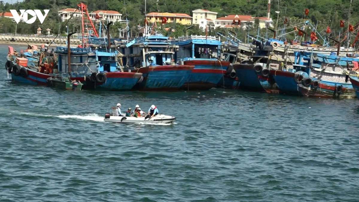 hai phong cam bien de phong chong bao so 9 hinh anh 1